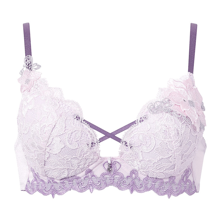 サルート（SALUTE） ワコール 27グループ 27G ブラジャー単品 VIVA