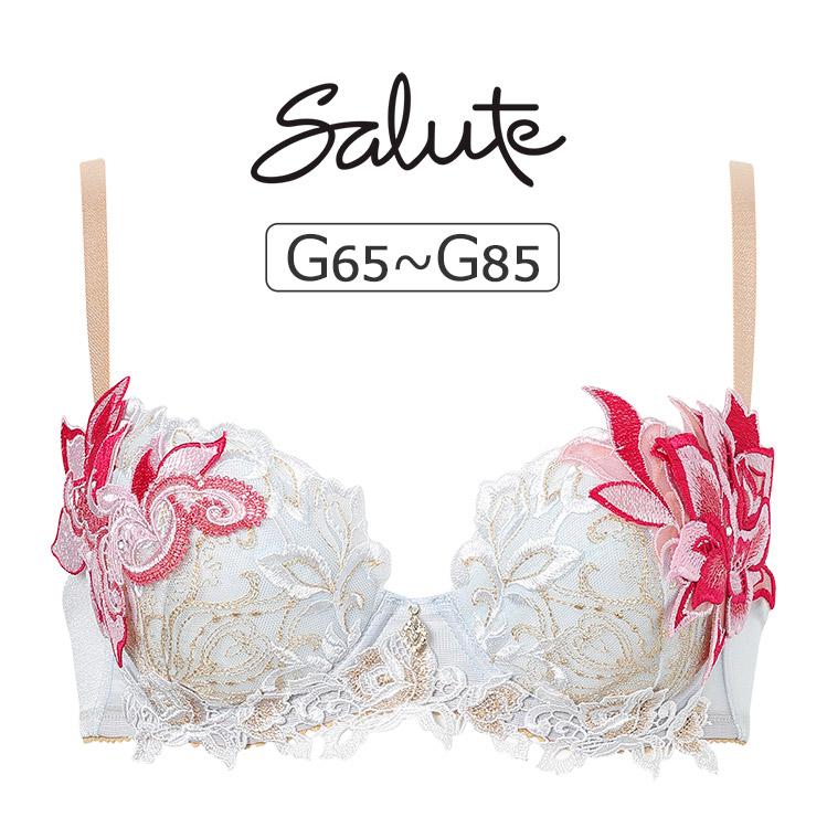 サルート（SALUTE） ワコール 38グループ 38G ブラジャー単品 P-up