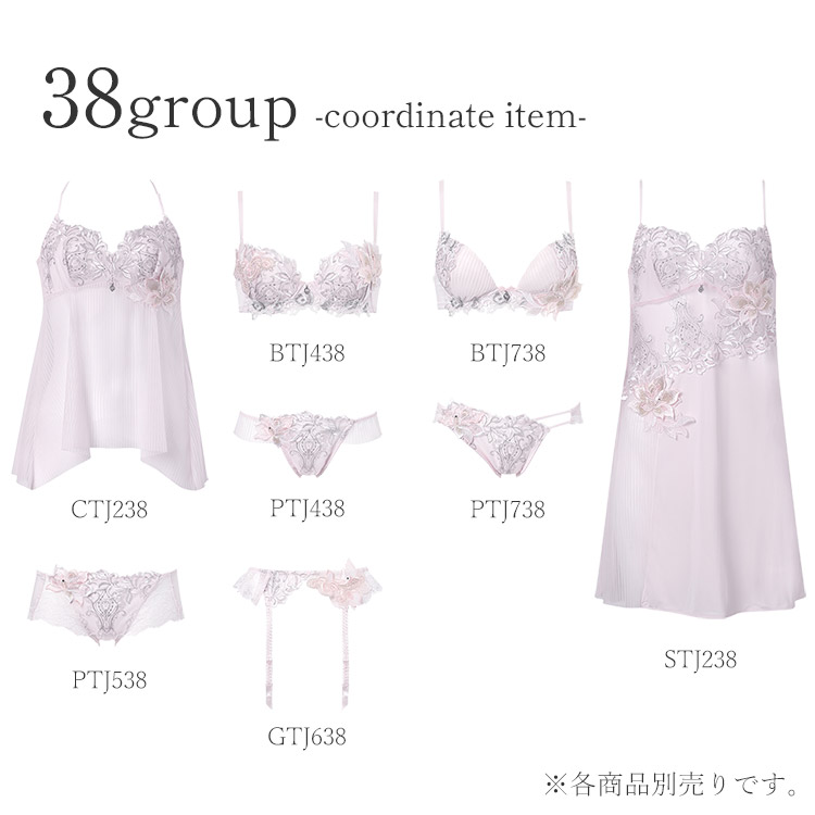 サルート（SALUTE） ワコール 38グループ 38G ブラジャー単品 P-up