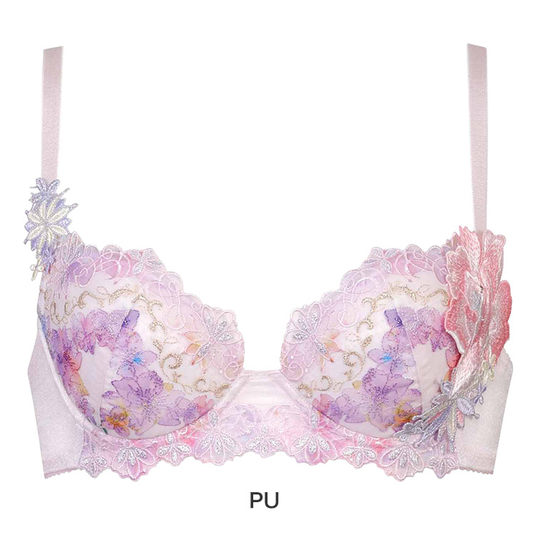 サルート（SALUTE） ワコール 50グループ 50G ブラジャー単品 P-up