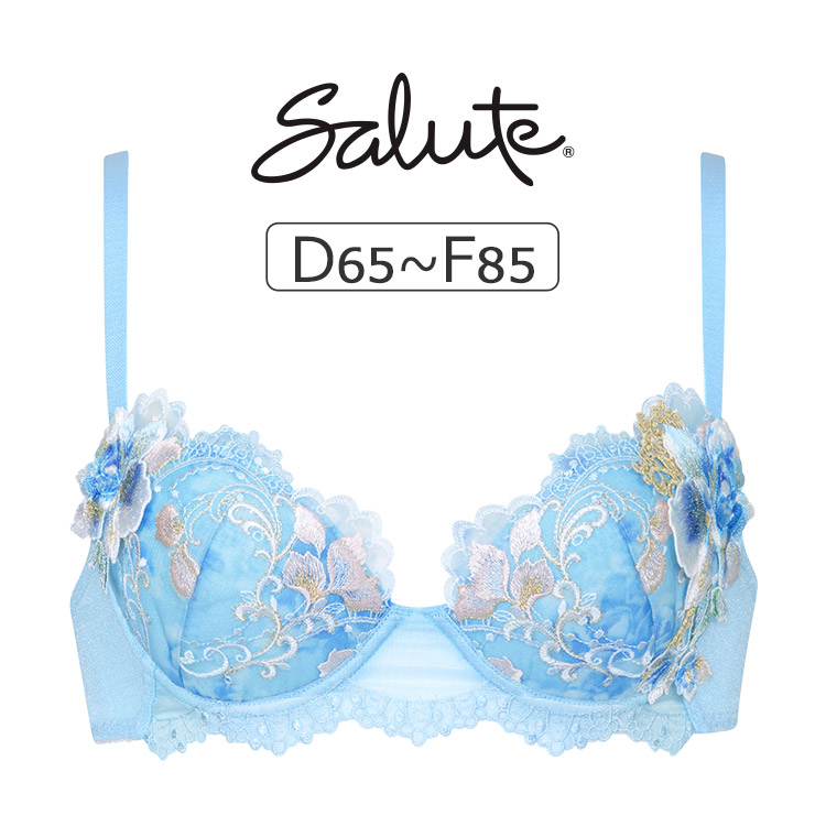 サルート ワコール 91G ブラジャー単品 P-upタイプ DEFカップ