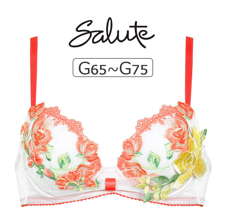 サルート（SALUTE） ワコール 11グループ 11G Tバックショーツ M/L