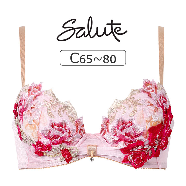 ワコール/サルート 26G 新品タグ付 P-upブラソング C65 ワコール/サルート 26G 新品タグ付 P-upブラソング C65 ワコール