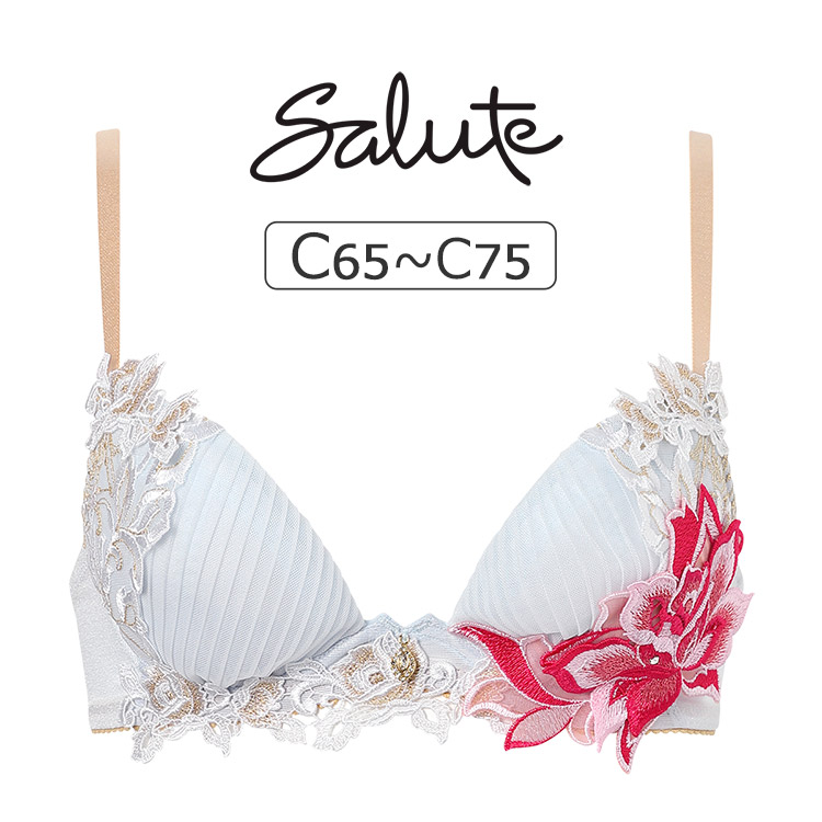 サルート（SALUTE） ワコール 38グループ 38G ブラジャー単品 P-up