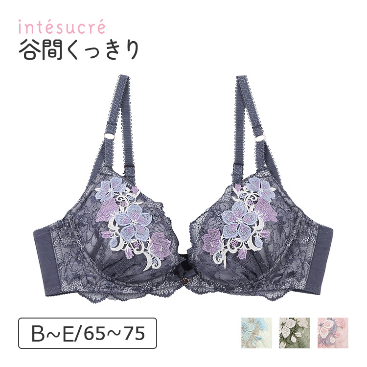 intesucre（アンテシュクレ） 毎日フィットブラ Wパッドボリューム