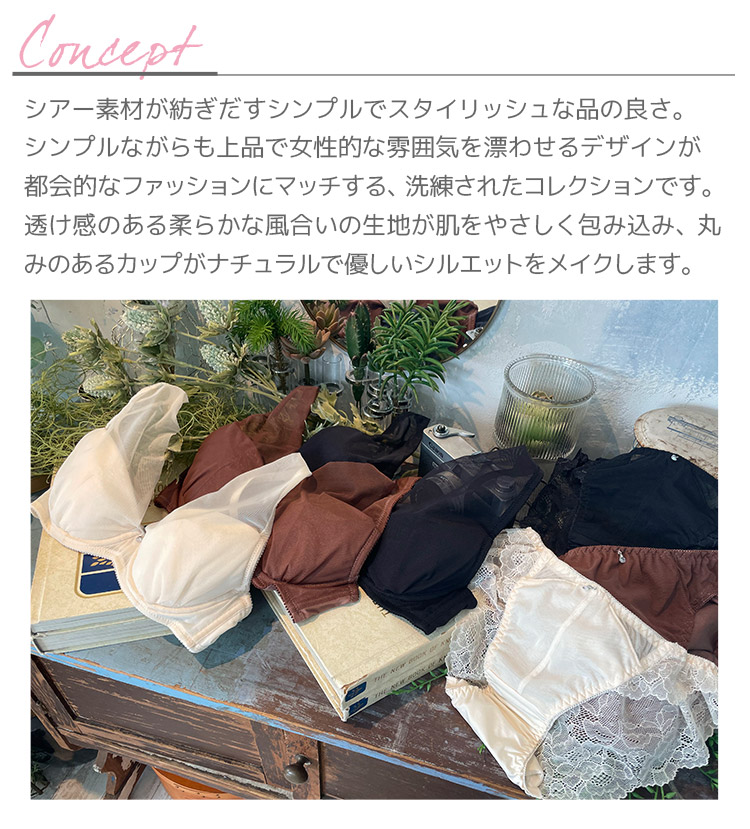 intesucre（アンテシュクレ） らくしてキレイ ふわさらType ブラセット