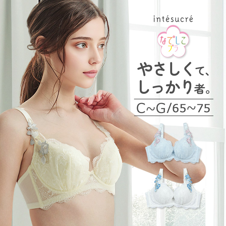 サルート（SALUTE） ワコール 16グループ 16G ブラジャー単品 P-up