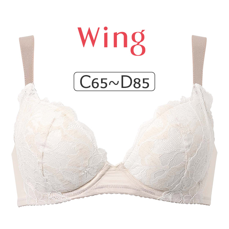 Wing ワコール ウイング もちっとふわっとブラ KB2368シリーズ