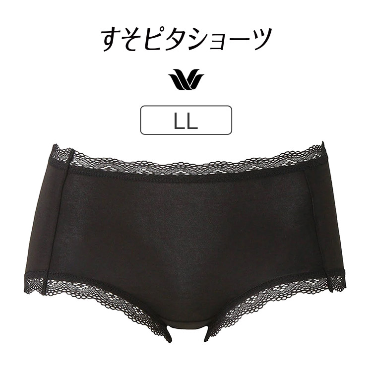 新品 ワコール Wacoal すそピタショーツ M 4枚 WACOAL（ワコール） すそピタショーツ スタンダードショーツ ハーフ