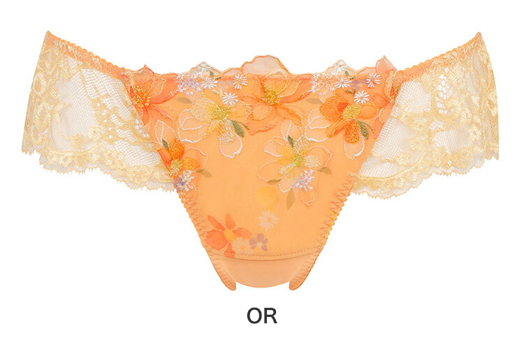 WACOAL（ワコール） ハグするブラ BRB498シリーズ Tバックショーツ M