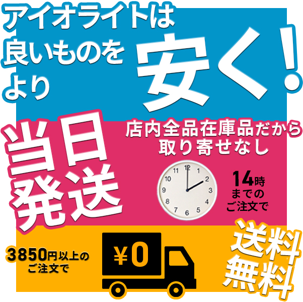 【即日対応します！】GE223NA 3P 200A FV 日東工業 単3中性線欠相保護付 漏電ブレーカ 分散型電源システム用  GE223NA3P200AFV