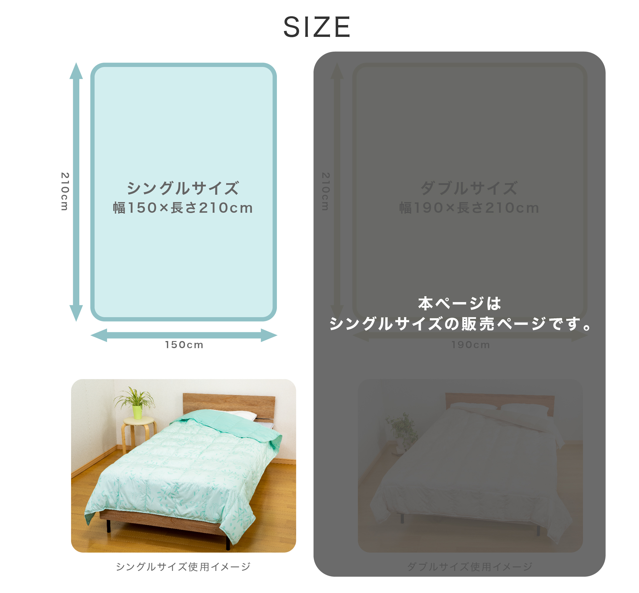 サイズ