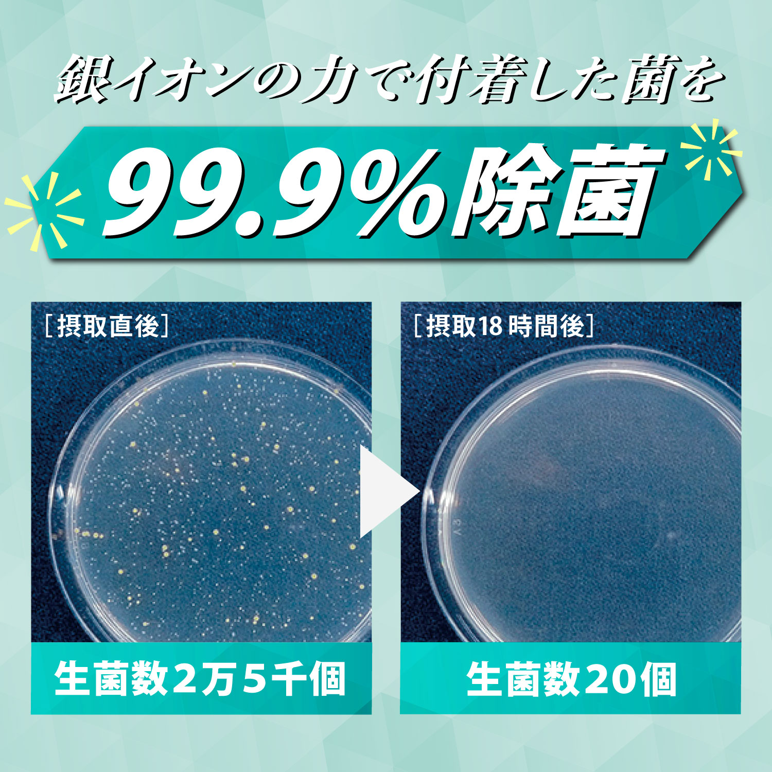 フランスベッド マットレス シングル 24cm厚 寝返りしやすい 