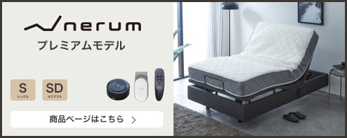 プレミアムモデル