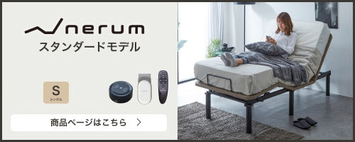 スタンダードモデル