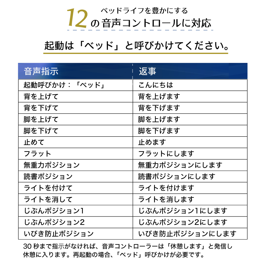 12の音声コントロール対応