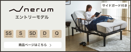 エントリーモデル サイドガード付き