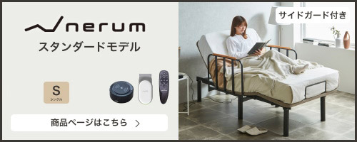 スタンダードモデル サイドガード付き