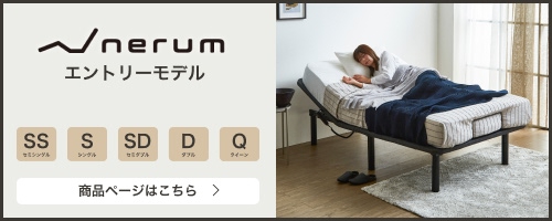 エントリーモデル