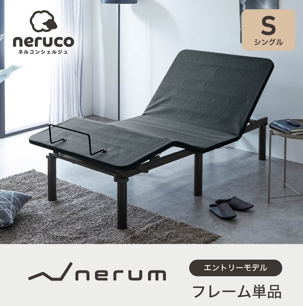 電動リクライニングベッド　エントリーモデル