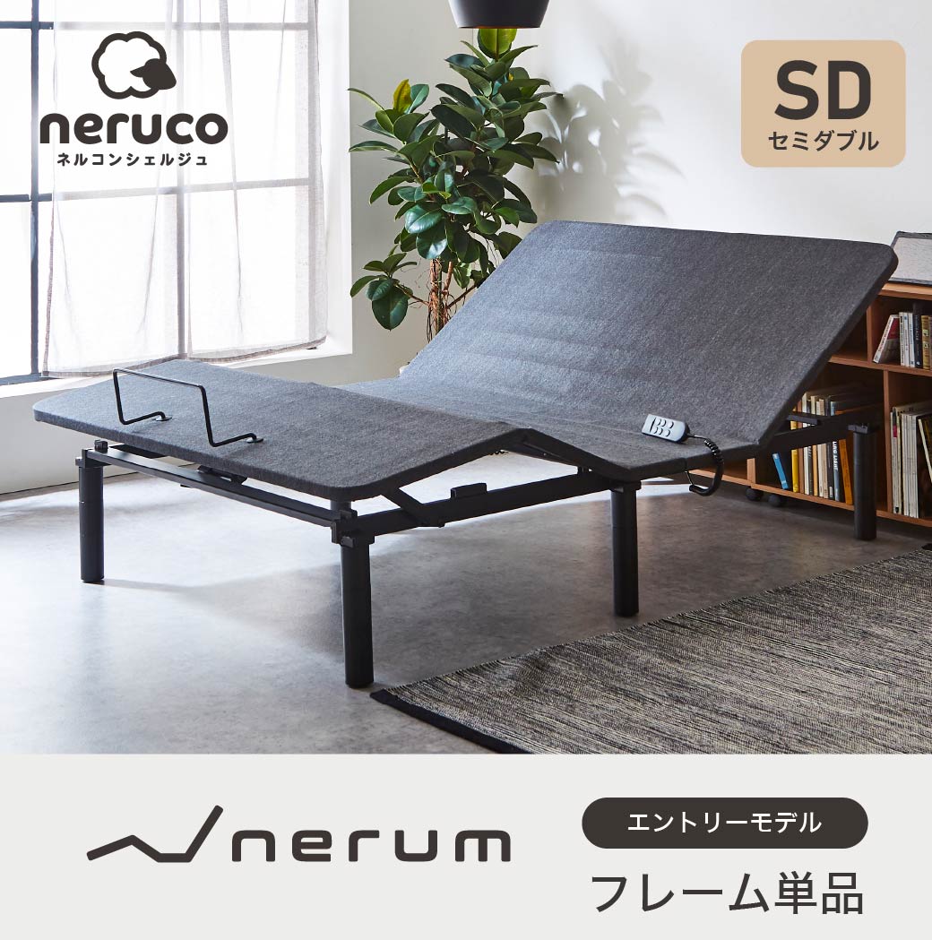電動リクライニングベッド　エントリーモデル