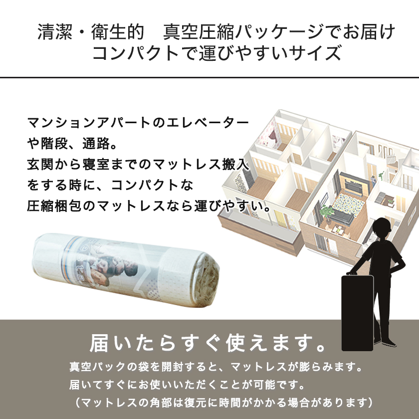 真空圧縮パッケージでお届け