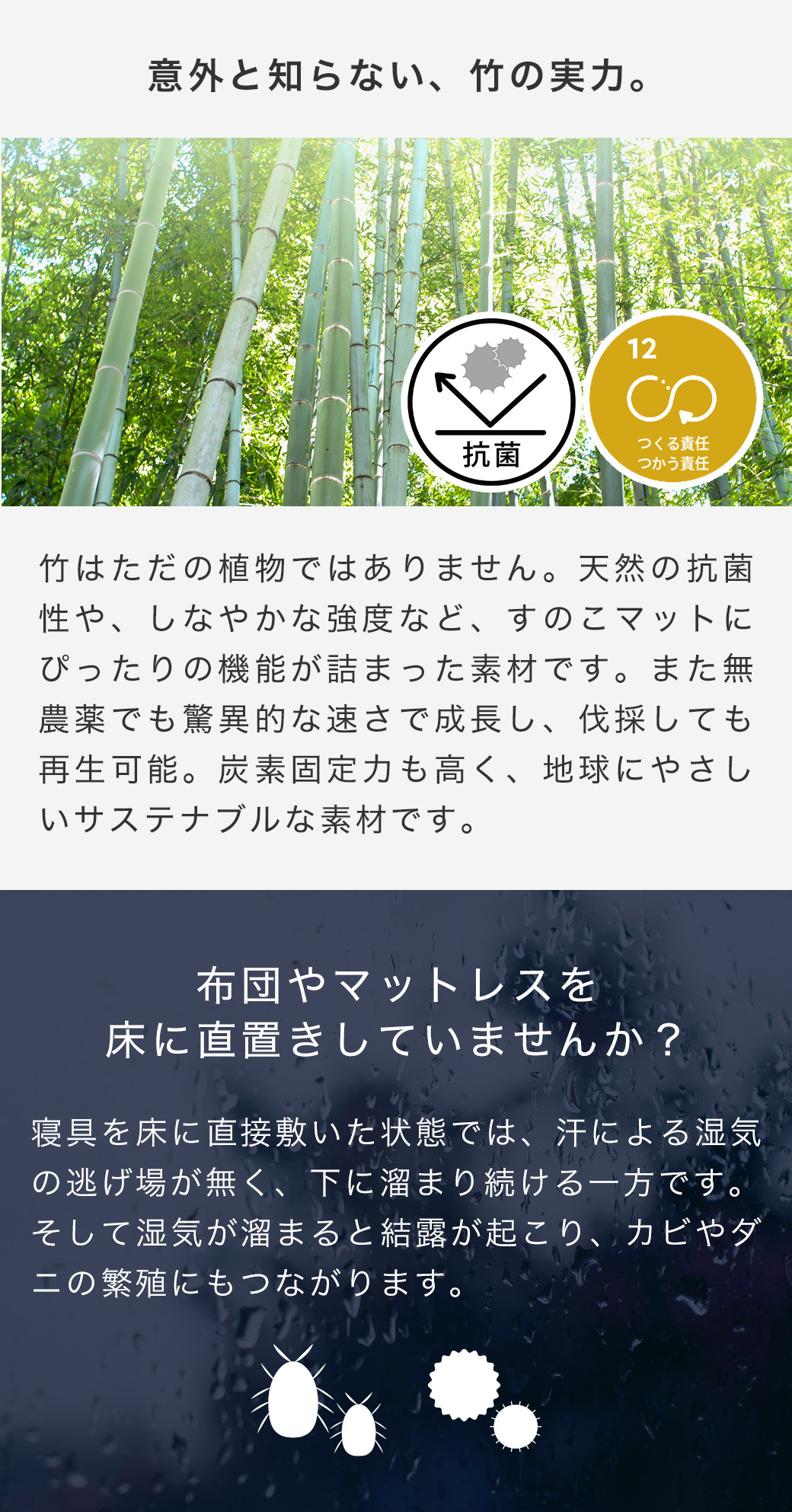意外と知らない竹の実力。竹には天然の抗菌性があり、二酸化炭素を固定力も高い植物。農薬を必要とせず驚異的なスピードで成長し、伐採しても再生する、サステナブル素材です。布団を直置きしていませんか？布団を直置きすると汗や湿気の逃げ場が無くカビやダニが繁殖します。