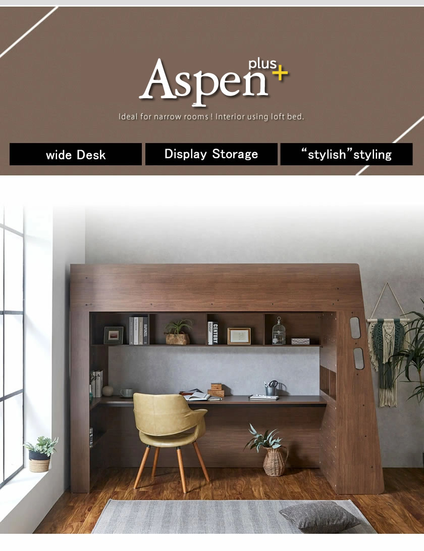 Aspen plus