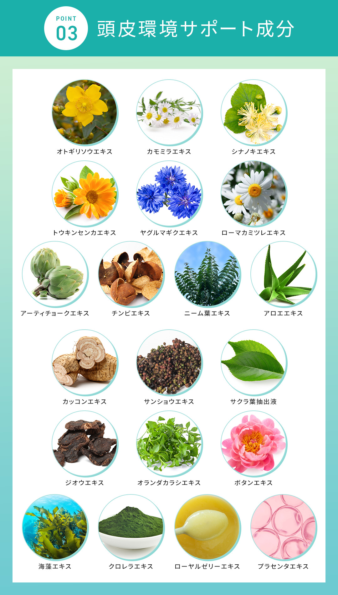 オンライン限定】【公式】 医薬部外品 Balumo バルモ ヘアセラム 薬用