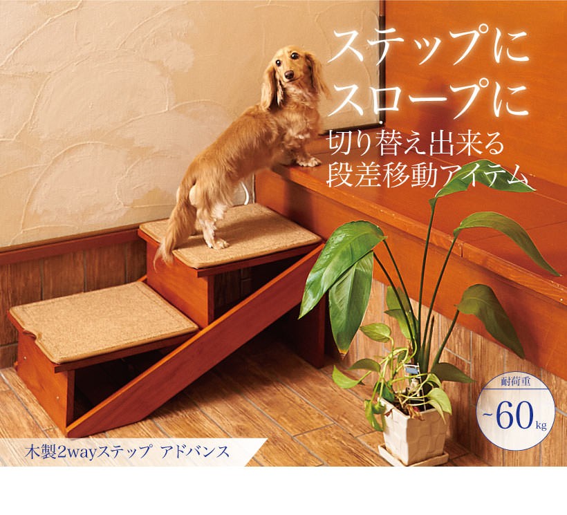 犬 介護 階段 ステップ 木製2WAYステップ アドバンス (TC)(B) : Pet館
