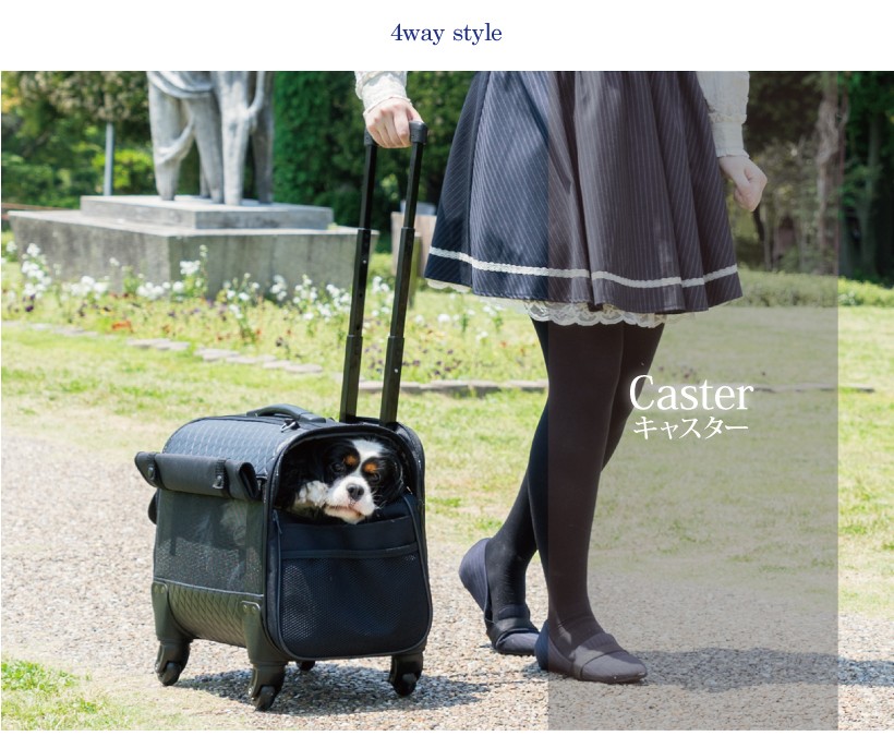 ペットキャリー 犬 猫 キャリー ブロッサムリュックキャリー