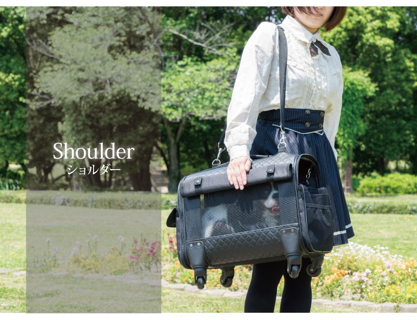 ペットキャリー 犬 猫 キャリー ブロッサムリュックキャリー