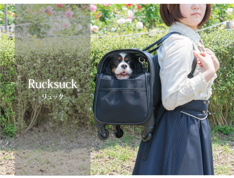 値下げ！ブロッサムリュックキャリーカート※リュック　犬・猫 ブロッサムリュックキャリー キルティングブラックM | 株式会社オー