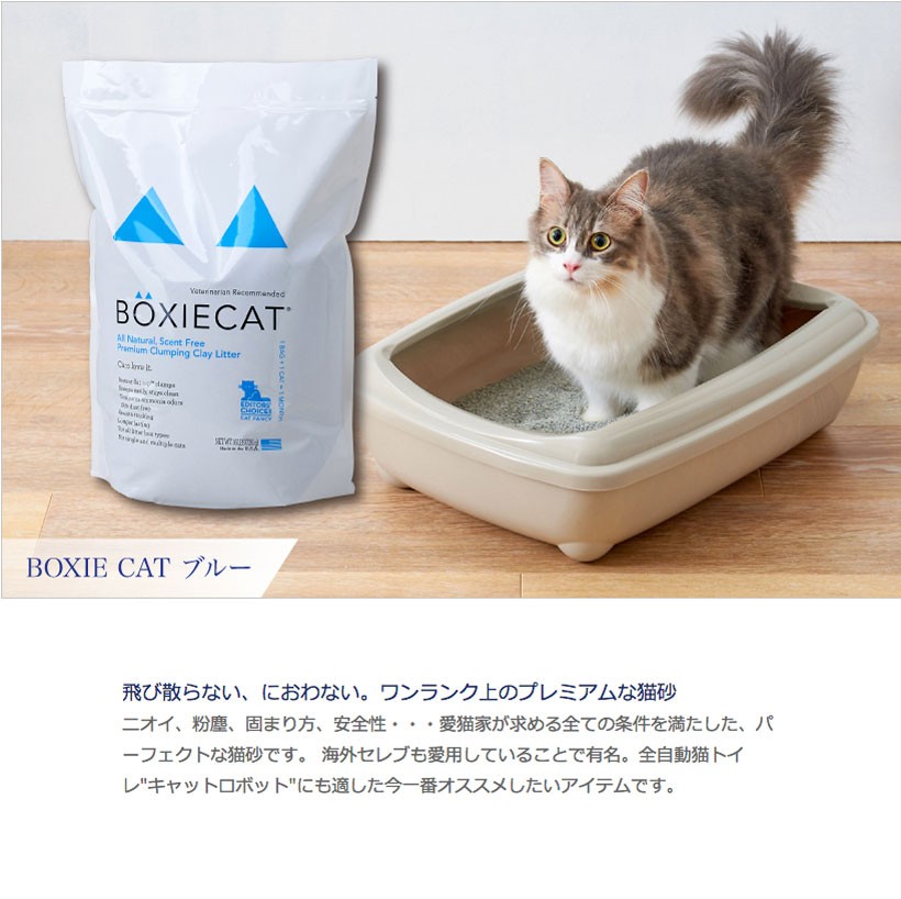 BOXIE CAT　ブルー