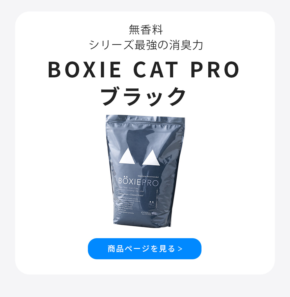 BOXIE CAT PRO ブラック