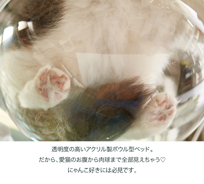 全国宅配無料 Oft キャットクリアカプセル シリンダー ベッド 猫 ネコ ねこ カプセル かわいい 肉球 キャットツリー 据え置き 公式店舗 Www Muslimaidusa Org