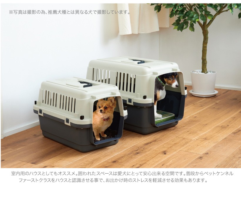 Oft ペットケンネル ファーストクラス L55 おしゃれ おすすめ ランキング 小型犬 猫 小動物 ハードキャリー コンテナ クレート Petmode Xs Oft Store Yahoo 店 通販 Yahoo ショッピング