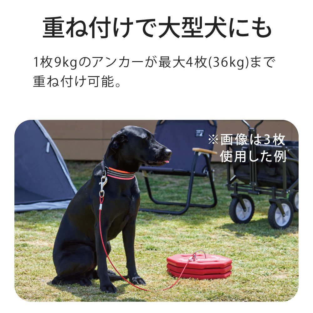 重ね付けで大型犬にも