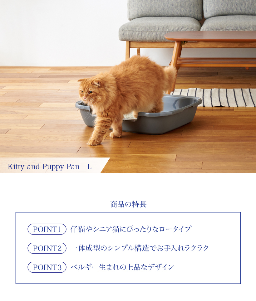 11/28-12/26 クリスマスフェア) [Kitty and Puppy Pan L(本体)] 猫