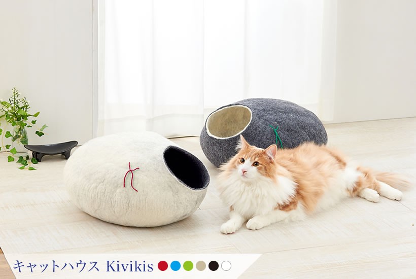 kivikis
