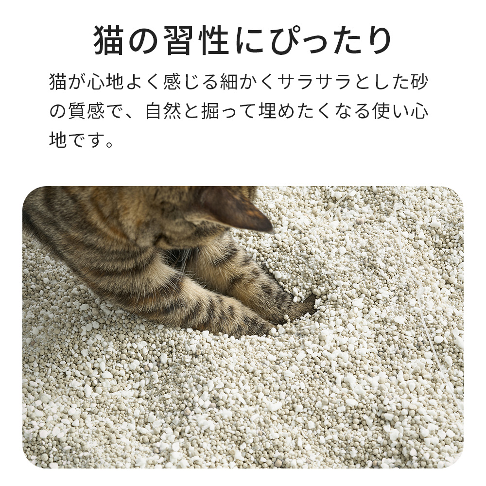 猫の習性にぴったり
