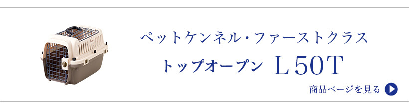 トップ50はこちら