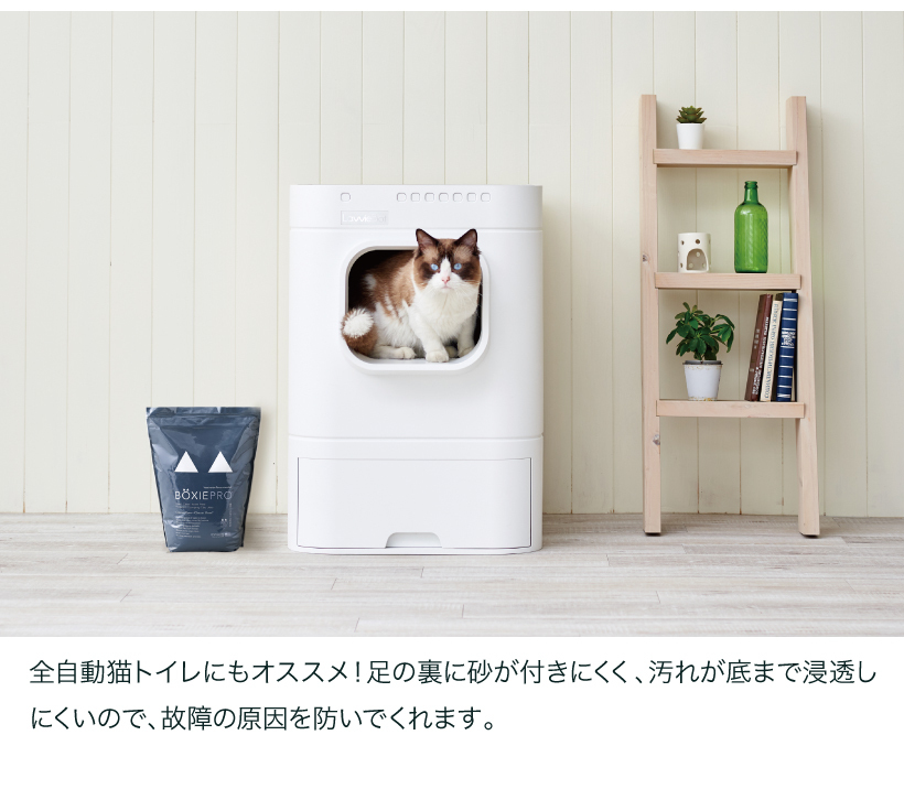 BOXIE CAT PRO ブラック