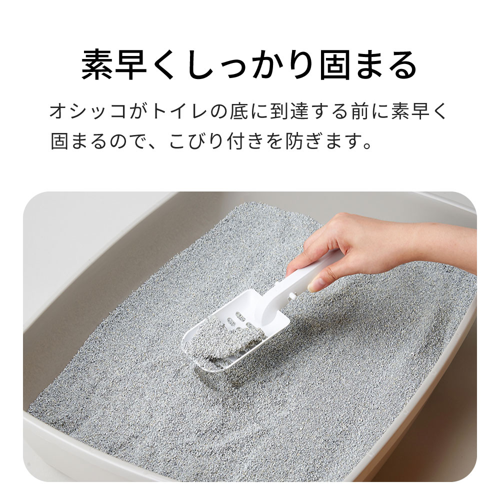 素早くしっかり固まる