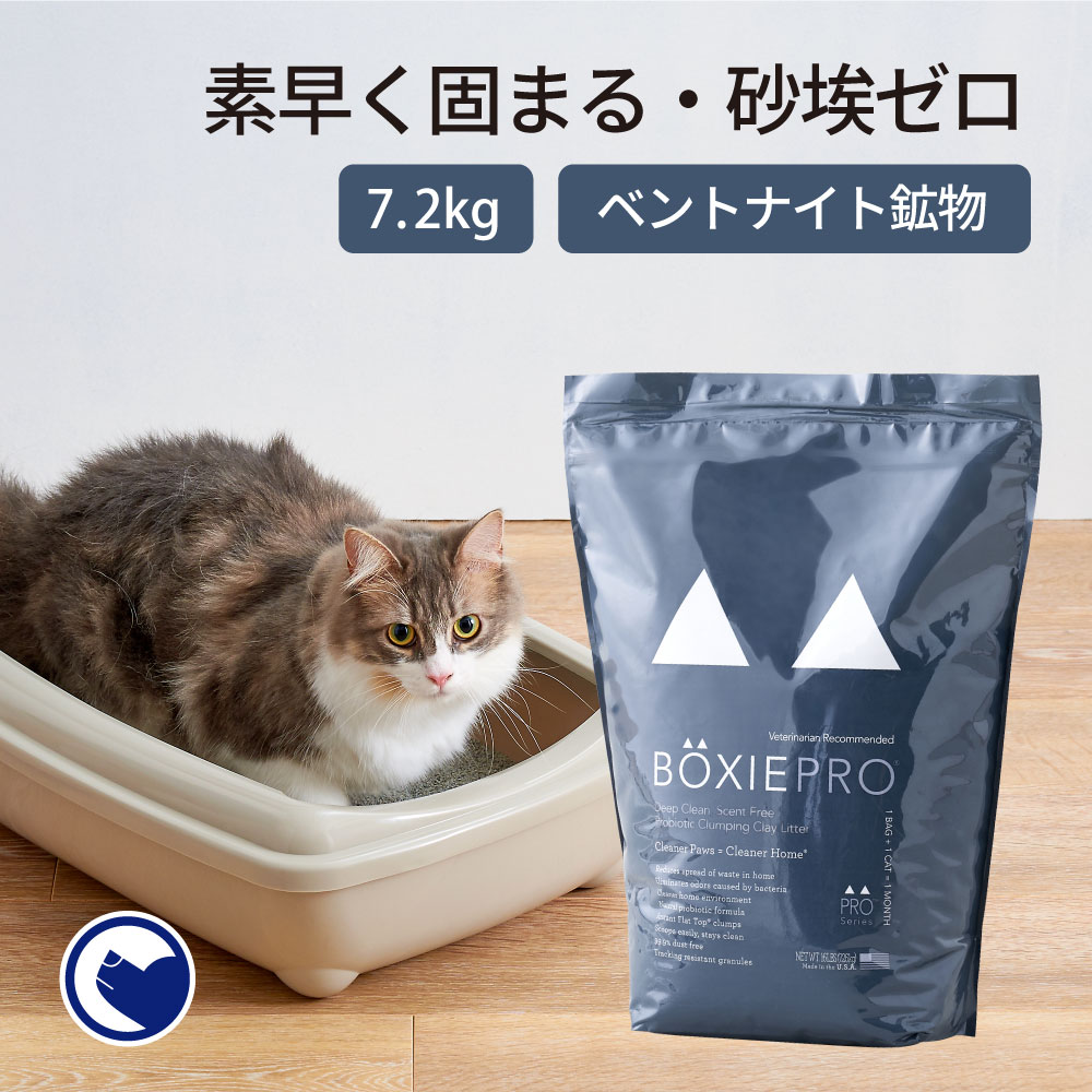 BOXIECATブラック