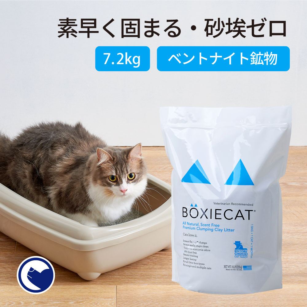 BOXIECATブルー