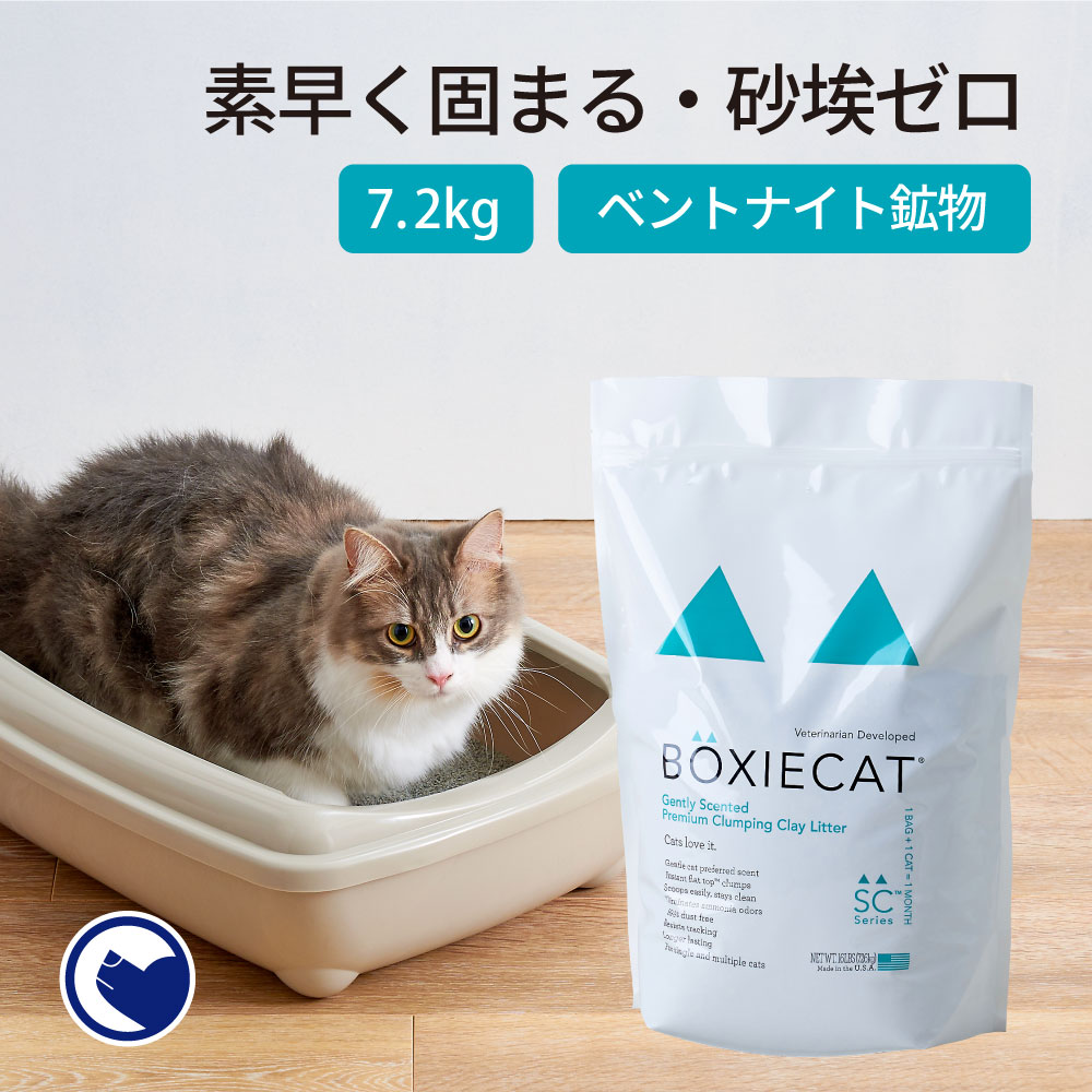 BOXIECATグリーン