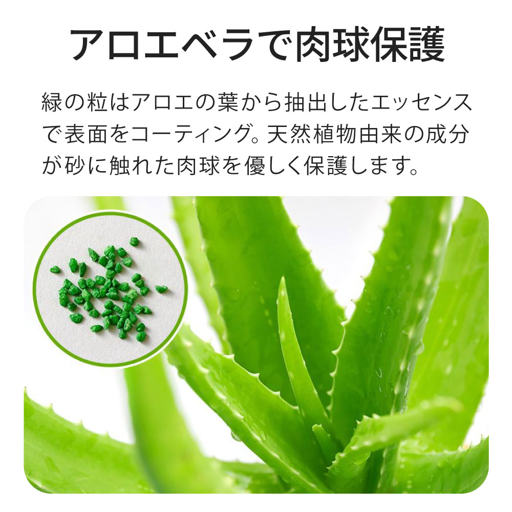 アロエベラで肉球保護