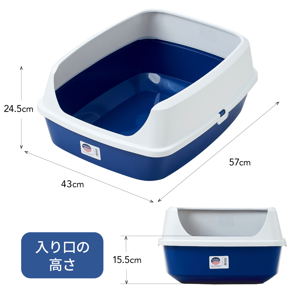 サイズ