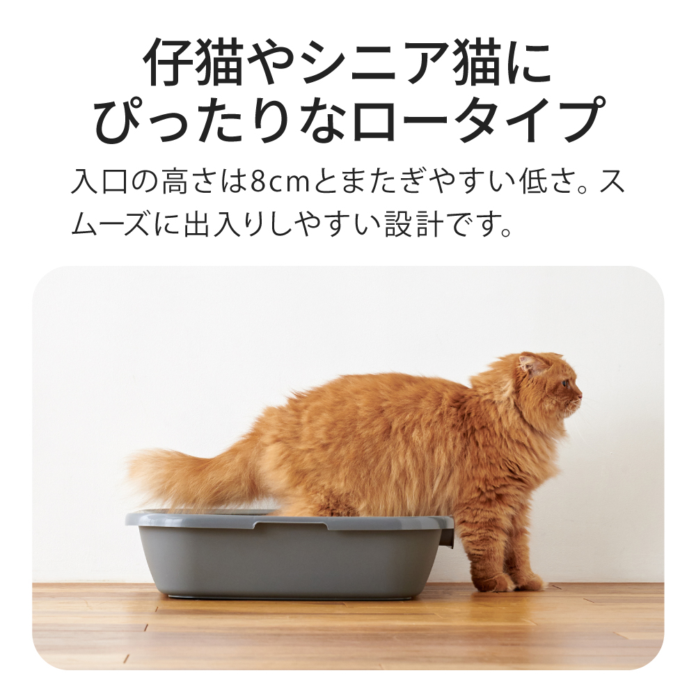 仔猫やシニア猫にぴったりなロータイプ